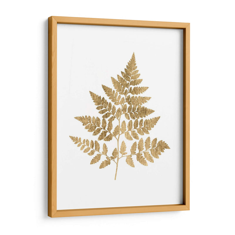 Helecho Gráfico Oro I - Studio W | Cuadro decorativo de Canvas Lab