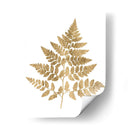Helecho Gráfico Oro I - Studio W | Cuadro decorativo de Canvas Lab