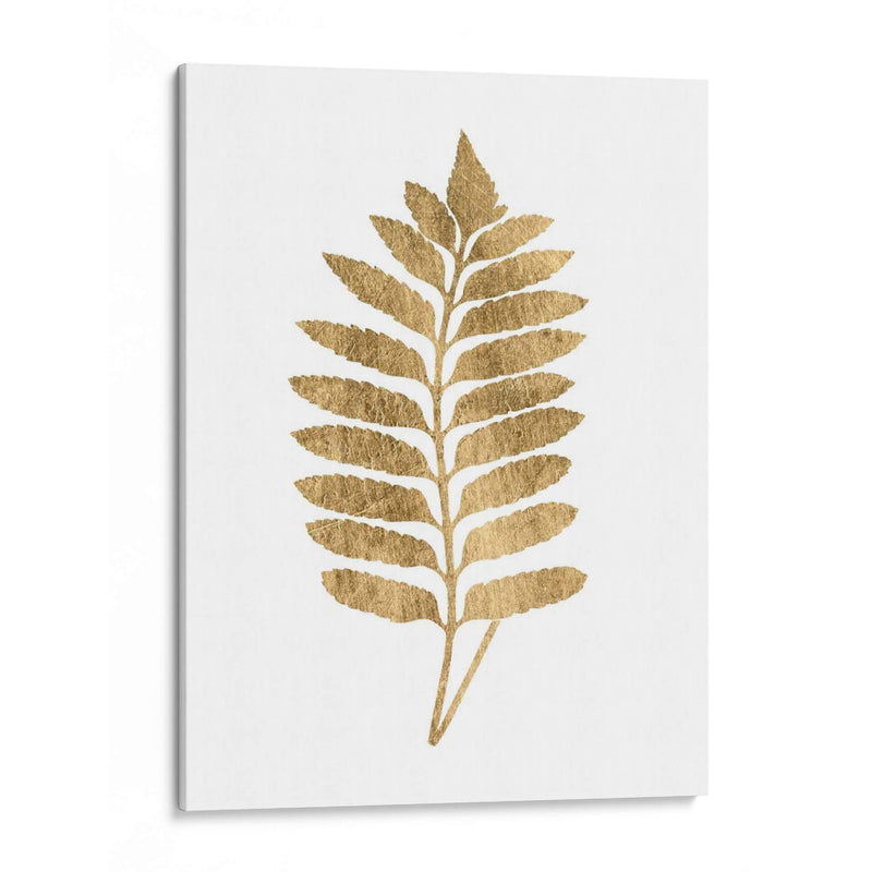 Graphic Gold Fern Iii - Studio W | Cuadro decorativo de Canvas Lab