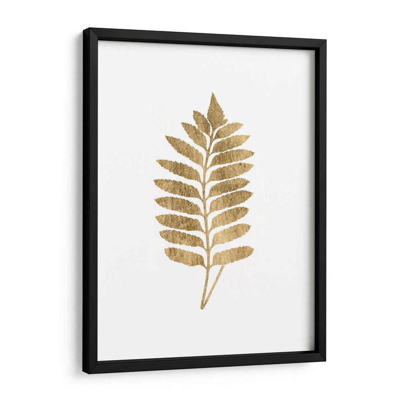 Graphic Gold Fern Iii - Studio W | Cuadro decorativo de Canvas Lab