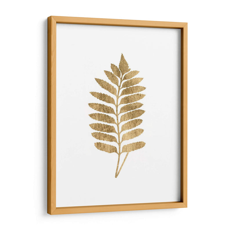 Graphic Gold Fern Iii - Studio W | Cuadro decorativo de Canvas Lab