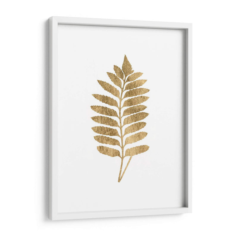 Graphic Gold Fern Iii - Studio W | Cuadro decorativo de Canvas Lab