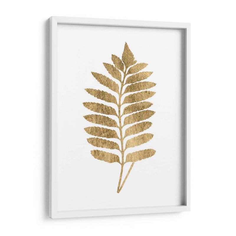 Graphic Gold Fern Iii - Studio W | Cuadro decorativo de Canvas Lab