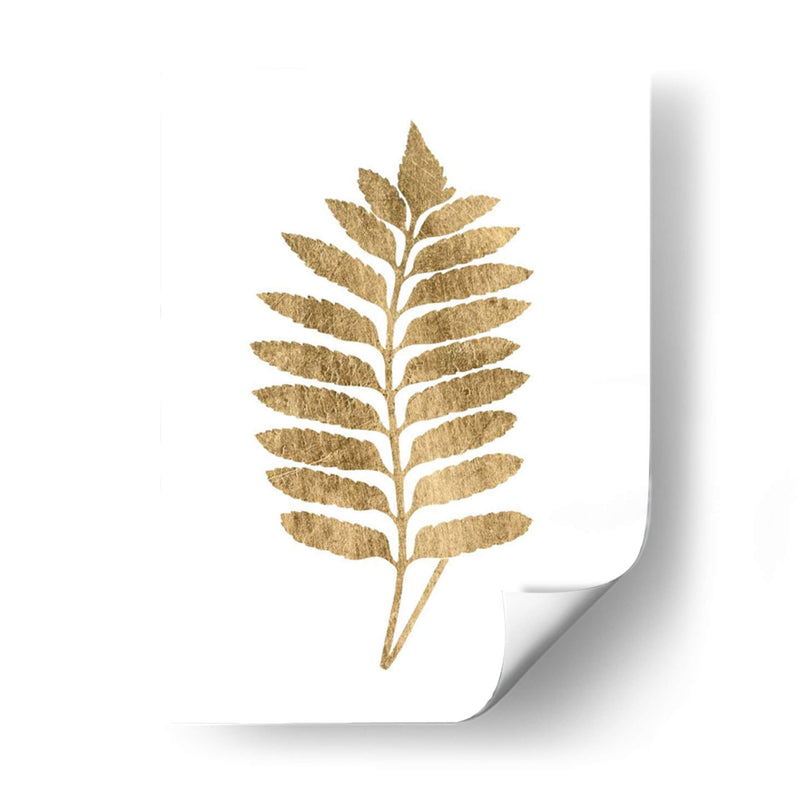 Graphic Gold Fern Iii - Studio W | Cuadro decorativo de Canvas Lab