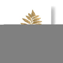 Graphic Gold Fern Iii - Studio W | Cuadro decorativo de Canvas Lab
