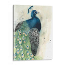 Acuarela Retrato De Pavo Real I - Grace Popp | Cuadro decorativo de Canvas Lab