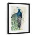 Acuarela Retrato De Pavo Real I - Grace Popp | Cuadro decorativo de Canvas Lab