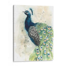 Acuarela Peacock Retrato Ii - Grace Popp | Cuadro decorativo de Canvas Lab