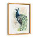 Acuarela Peacock Retrato Ii - Grace Popp | Cuadro decorativo de Canvas Lab