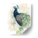 Acuarela Peacock Retrato Ii - Grace Popp | Cuadro decorativo de Canvas Lab