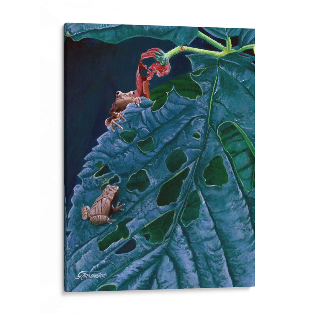 Peepers De Primavera I - Fred Szatkowski | Cuadro decorativo de Canvas Lab