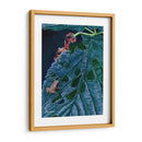 Peepers De Primavera I - Fred Szatkowski | Cuadro decorativo de Canvas Lab