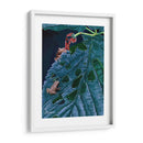 Peepers De Primavera I - Fred Szatkowski | Cuadro decorativo de Canvas Lab