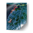 Peepers De Primavera I - Fred Szatkowski | Cuadro decorativo de Canvas Lab