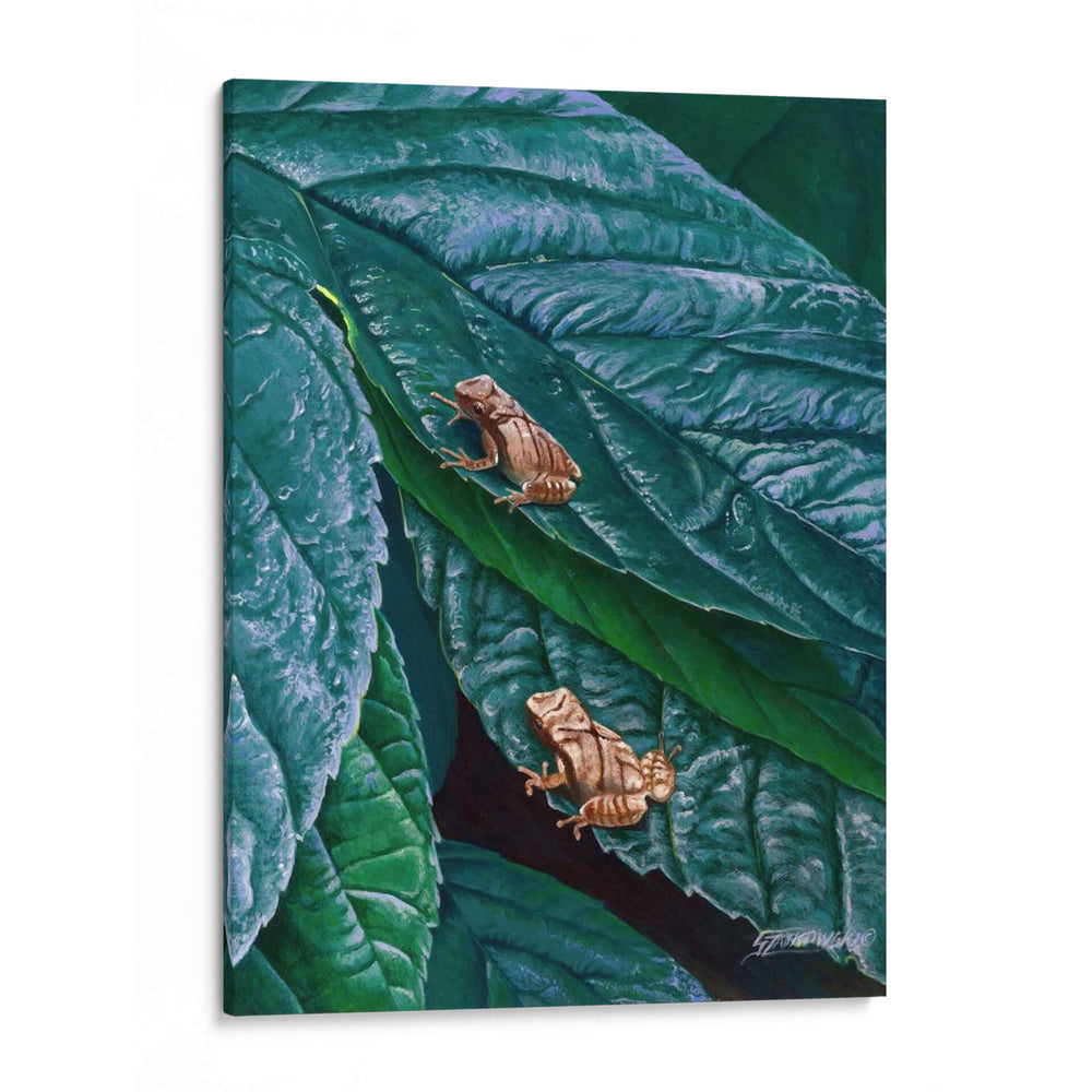 Peepers De Primavera Ii - Fred Szatkowski | Cuadro decorativo de Canvas Lab
