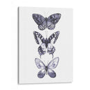 Mariposas Monocromáticas I - Grace Popp | Cuadro decorativo de Canvas Lab