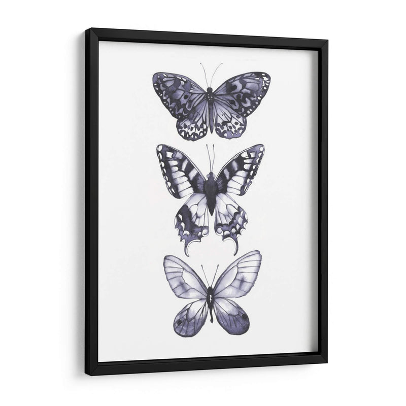 Mariposas Monocromáticas I - Grace Popp | Cuadro decorativo de Canvas Lab