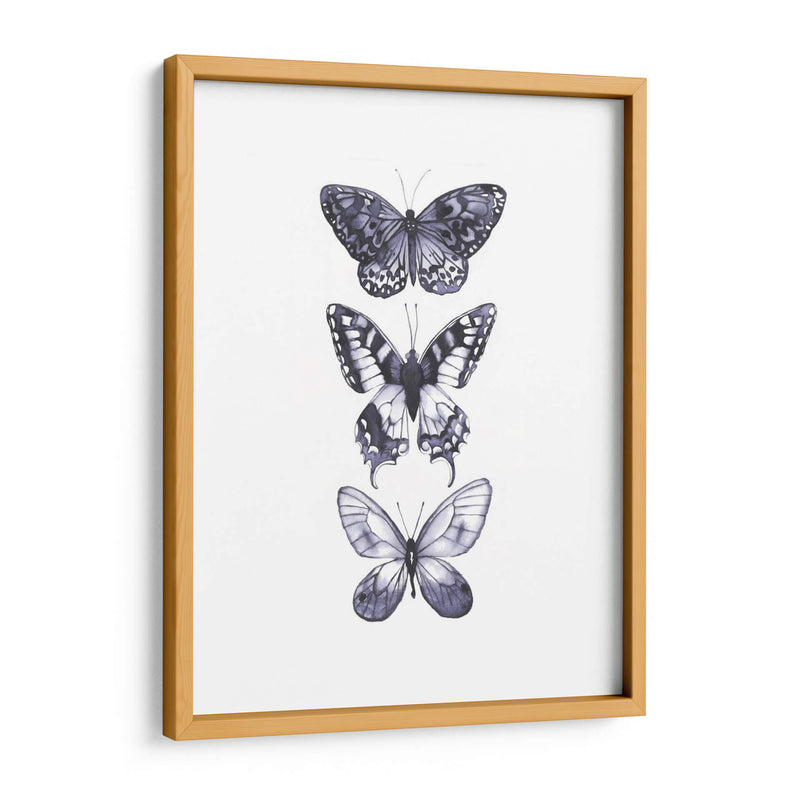 Mariposas Monocromáticas I - Grace Popp | Cuadro decorativo de Canvas Lab