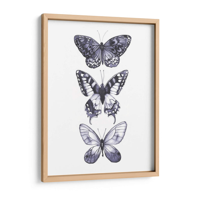 Mariposas Monocromáticas I - Grace Popp | Cuadro decorativo de Canvas Lab