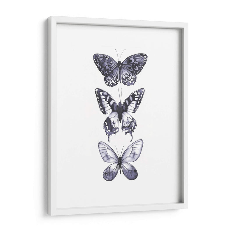 Mariposas Monocromáticas I - Grace Popp | Cuadro decorativo de Canvas Lab