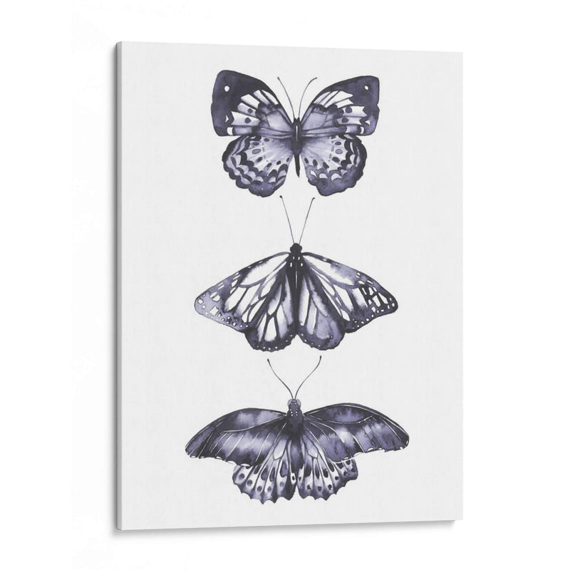 Mariposas Monocromáticas Ii - Grace Popp | Cuadro decorativo de Canvas Lab