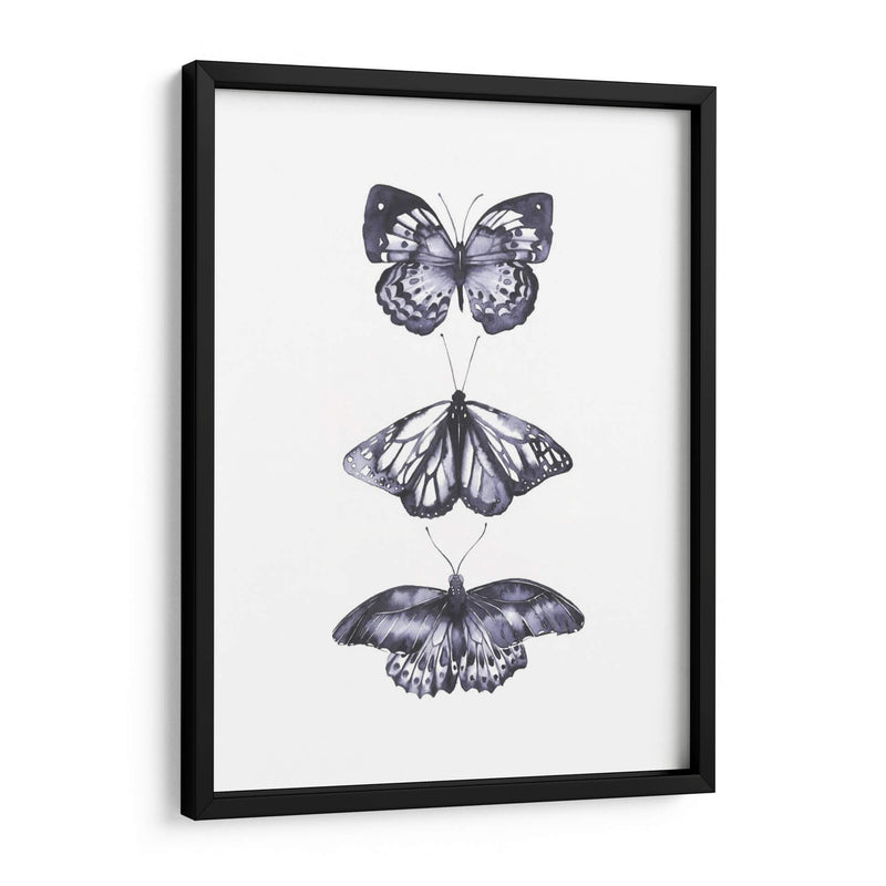 Mariposas Monocromáticas Ii - Grace Popp | Cuadro decorativo de Canvas Lab