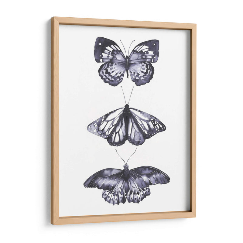 Mariposas Monocromáticas Ii - Grace Popp | Cuadro decorativo de Canvas Lab