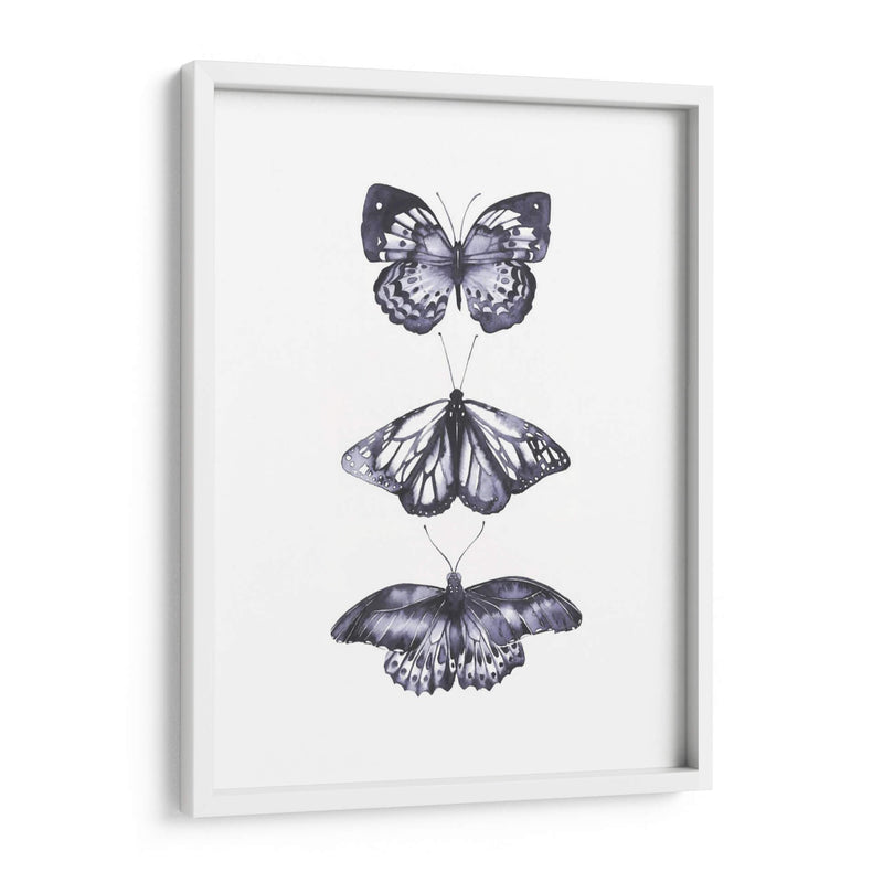 Mariposas Monocromáticas Ii - Grace Popp | Cuadro decorativo de Canvas Lab