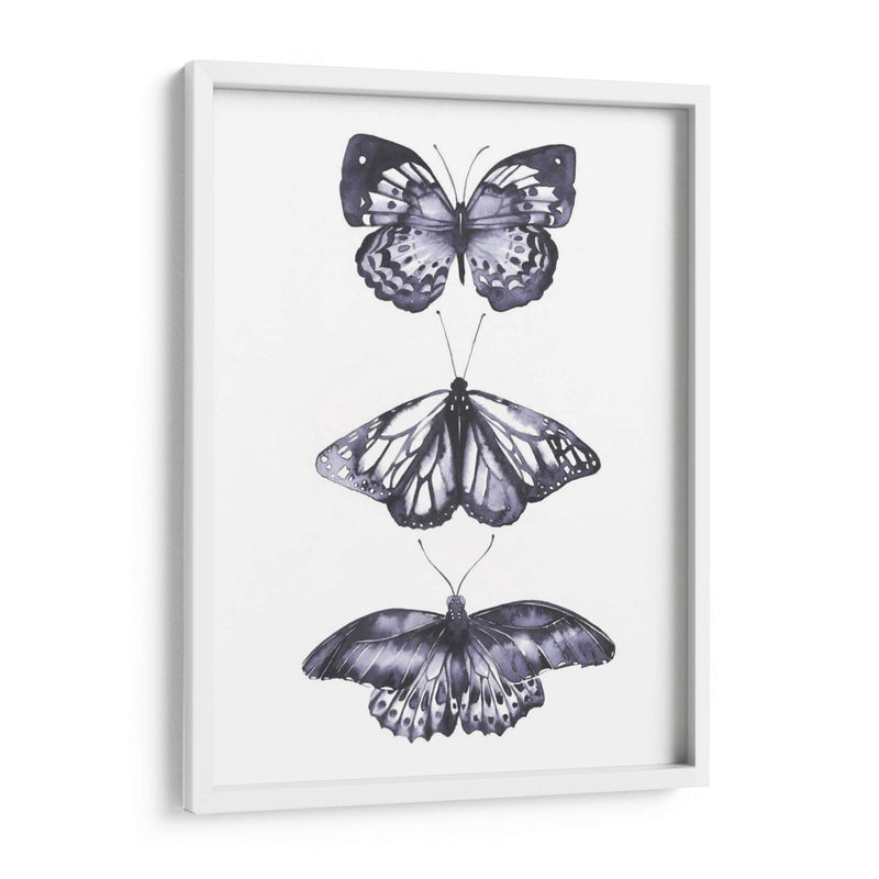 Mariposas Monocromáticas Ii - Grace Popp | Cuadro decorativo de Canvas Lab