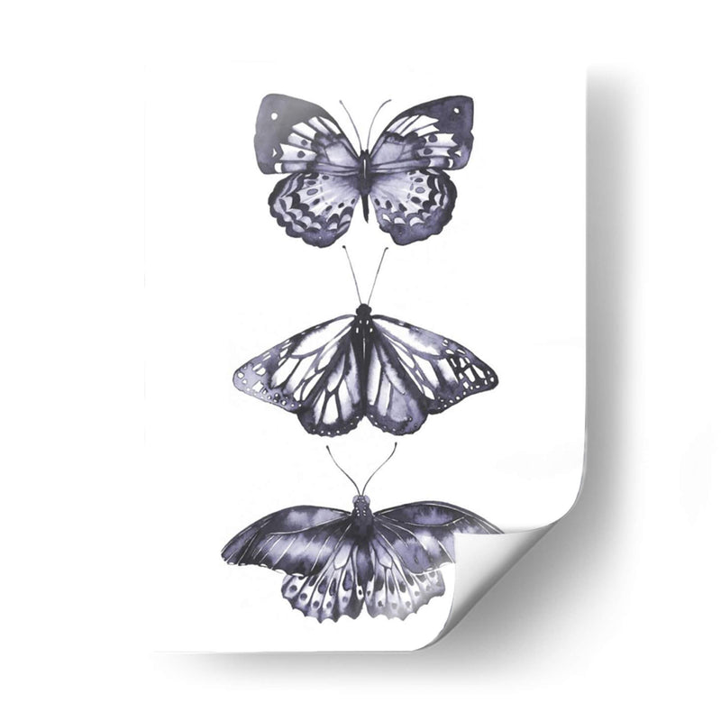 Mariposas Monocromáticas Ii - Grace Popp | Cuadro decorativo de Canvas Lab