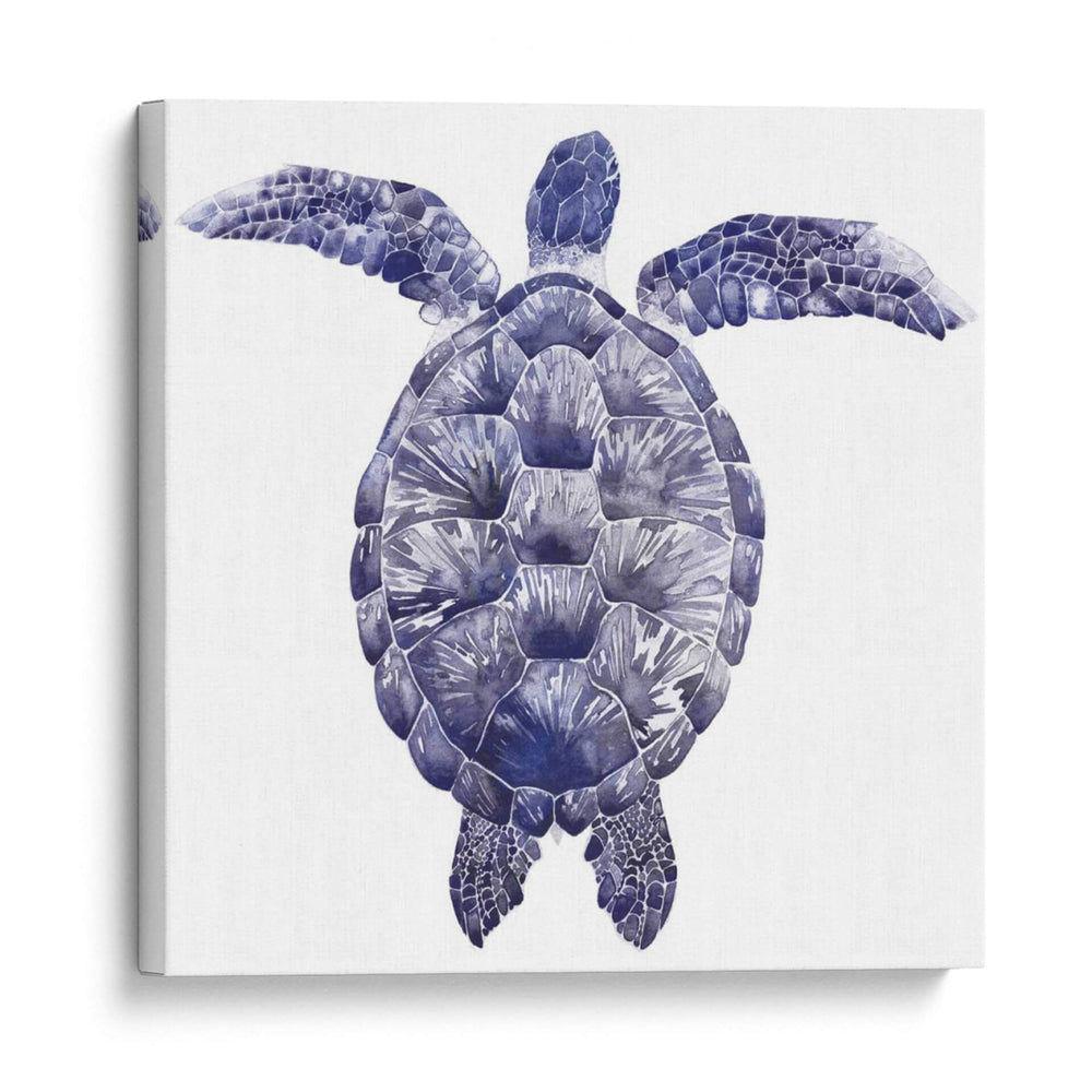Tortuga Marina I - Grace Popp | Cuadro decorativo de Canvas Lab