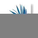 Indigo Botanica Iii - Naomi McCavitt | Cuadro decorativo de Canvas Lab