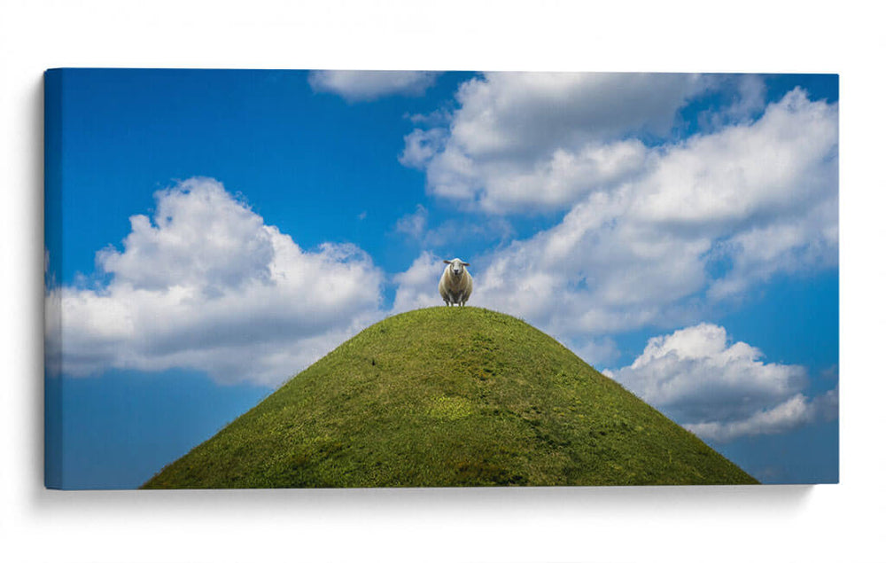 Borrego en la cima | Cuadro decorativo de Canvas Lab