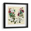 Magnolia Y Corona De Amapola Ii - Naomi McCavitt | Cuadro decorativo de Canvas Lab