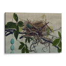 Anidando Yo - John Butler | Cuadro decorativo de Canvas Lab