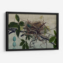 Anidando Yo - John Butler | Cuadro decorativo de Canvas Lab