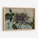 Anidando Yo - John Butler | Cuadro decorativo de Canvas Lab