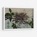 Anidando Yo - John Butler | Cuadro decorativo de Canvas Lab