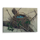 Anidando Ii - John Butler | Cuadro decorativo de Canvas Lab