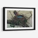 Anidando Ii - John Butler | Cuadro decorativo de Canvas Lab