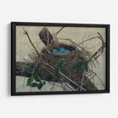 Anidando Ii - John Butler | Cuadro decorativo de Canvas Lab