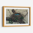 Anidando Ii - John Butler | Cuadro decorativo de Canvas Lab