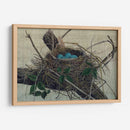 Anidando Ii - John Butler | Cuadro decorativo de Canvas Lab