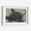 Anidando Ii - John Butler | Cuadro decorativo de Canvas Lab