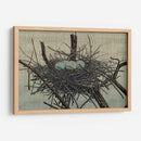 Anidamiento Iv - John Butler | Cuadro decorativo de Canvas Lab