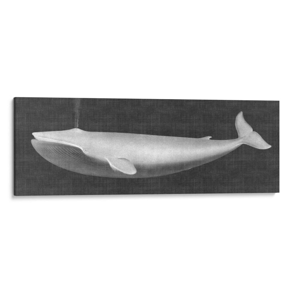 Ballena Viendo I - John Butler | Cuadro decorativo de Canvas Lab