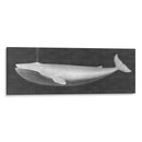 Ballena Viendo I - John Butler | Cuadro decorativo de Canvas Lab