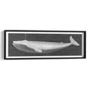 Ballena Viendo I - John Butler | Cuadro decorativo de Canvas Lab