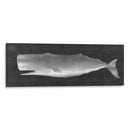 Whale Wating Ii - John Butler | Cuadro decorativo de Canvas Lab