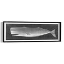 Whale Wating Ii - John Butler | Cuadro decorativo de Canvas Lab